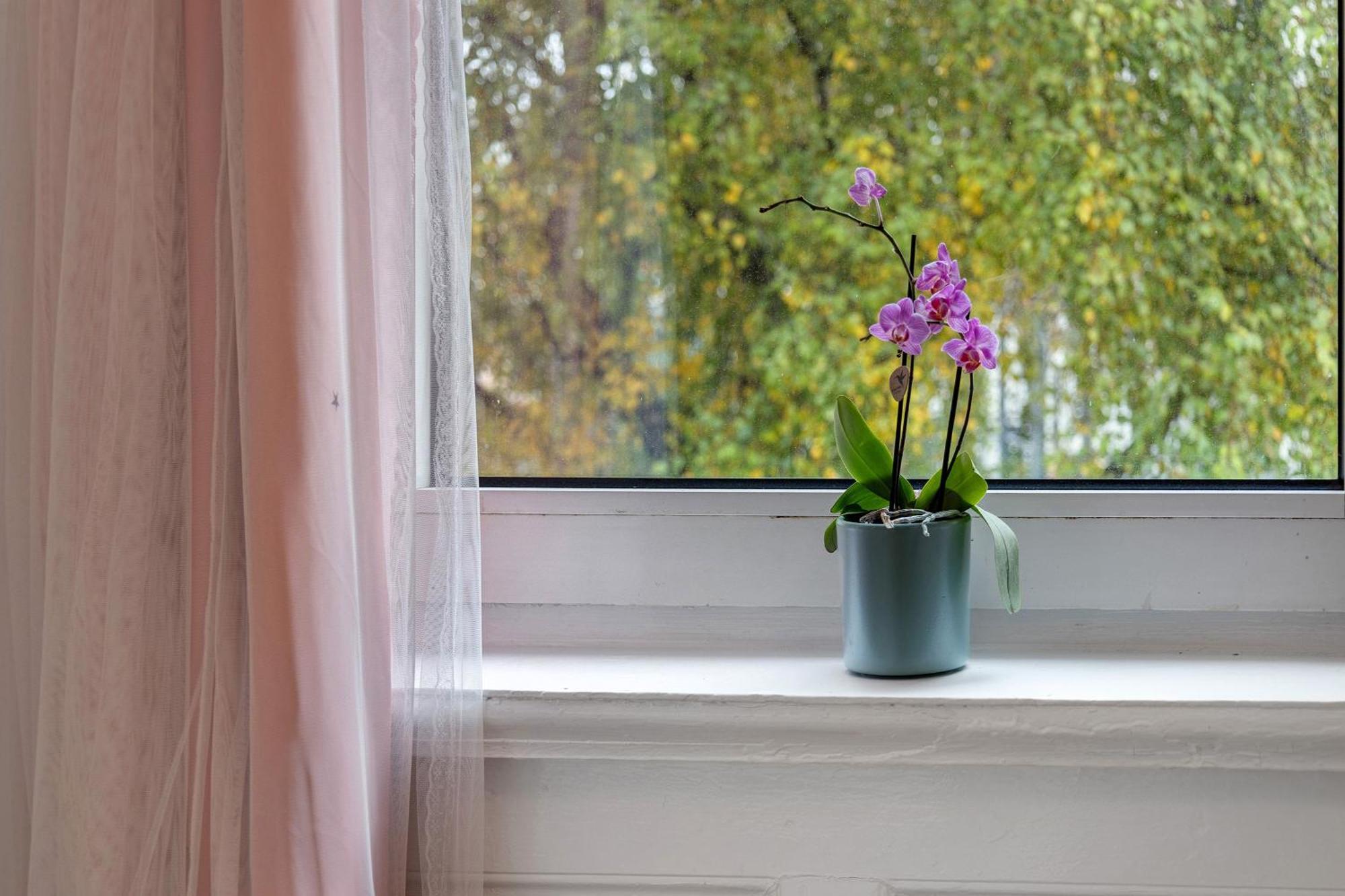 Haus Sonnenschein Apartment Хамбург Екстериор снимка